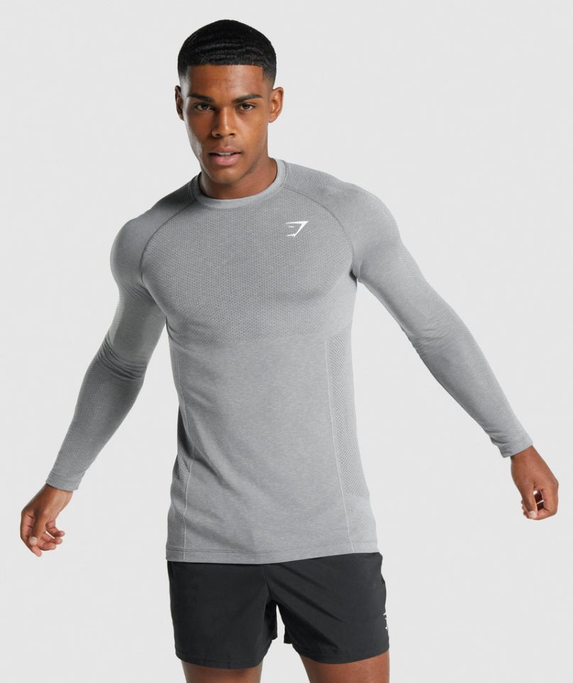 Men\'s Gymshark Vital Light Seamless Long Sleeve T-Shirts Grey | NZ 5XKVNL